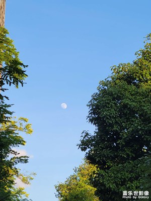 白天的月亮可好看