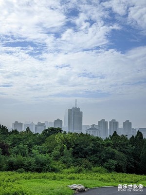 雨后随拍