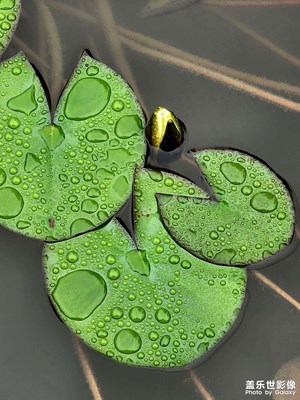 雨