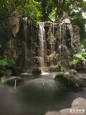 【夏日好时光】水，花，鱼