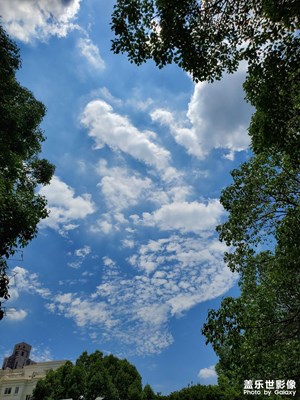 【夏日好时光】＋日常随拍