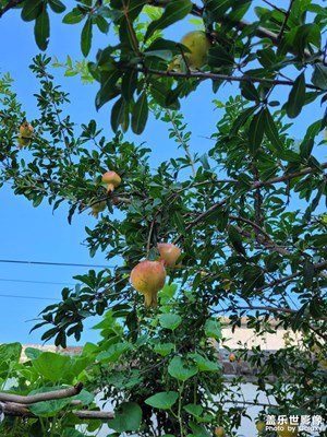 周末时光