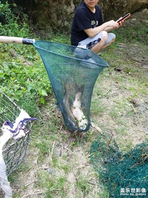 【半夏时光】 山野小塘