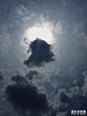 随手拍，感觉还不错