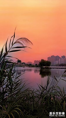❤️❤️❤️会随着风景在改变
