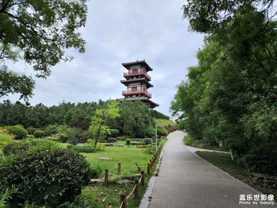 【带着手机去旅行】+溜达