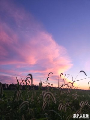 醉美夕阳