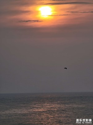 海边日出