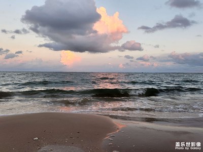 海