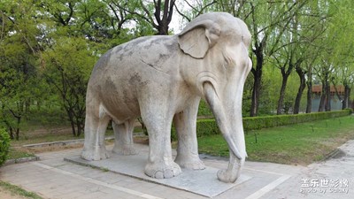 随便看看