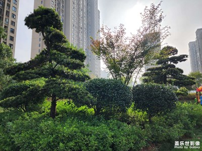 公园一样的小区环境