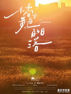 秋天的夕阳，试图驱散初冬的寒流