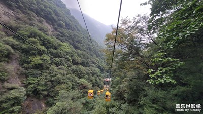 太平森林公园一日游