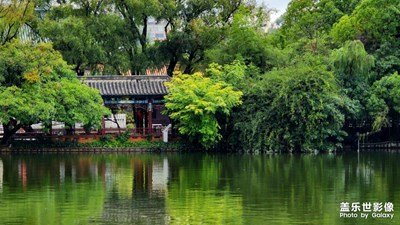 【秋日丽影】+ 翠湖烟雨