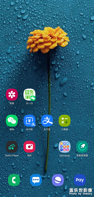 桌面壁纸
