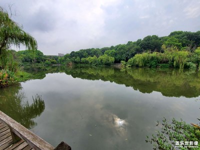 每日风景照
