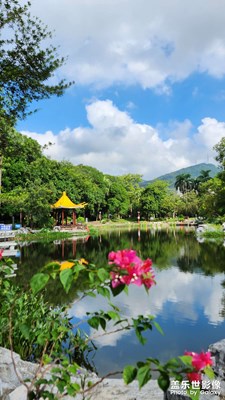 长假的园林