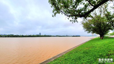 雨后洪水