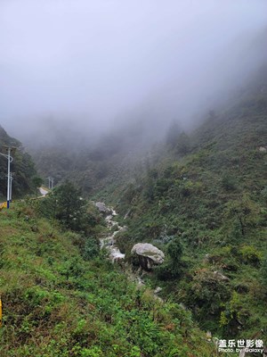 秦岭雨中漫步