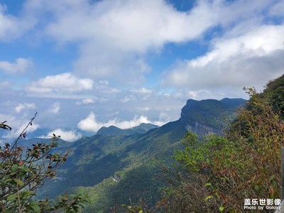 美食美景 20221005