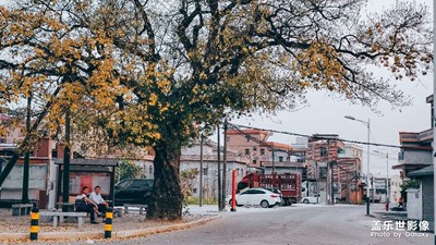 时间记忆