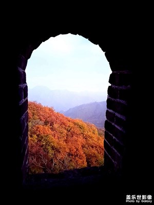 【我的小长假】+北京的最美的季节-秋季