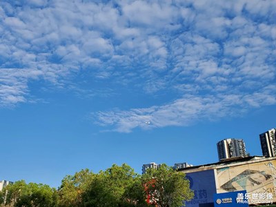 清晨蓝天下的飞机