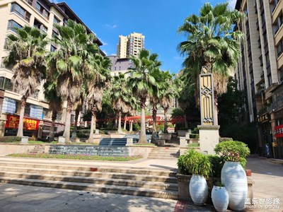 S22照相可以