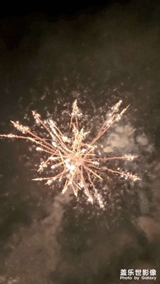 只为了好看