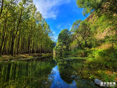 【深秋印象】秋山绿水