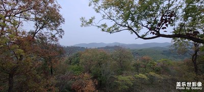 日常随拍之（秋意浓）