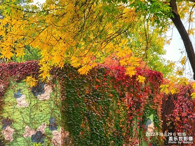 【好风光】+ 秋天的色彩