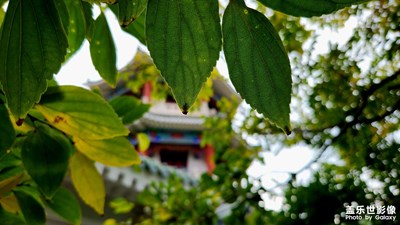 每周一放松