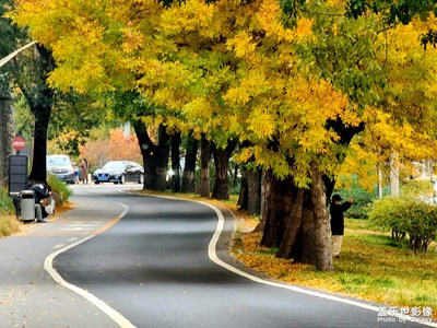 路过风景