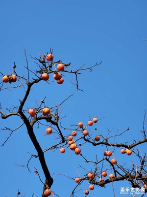 【多彩生活】+ 秦岭秋天