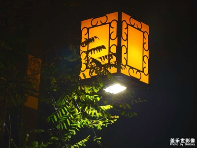 总想拍点什么