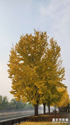 秋日故宫一日游