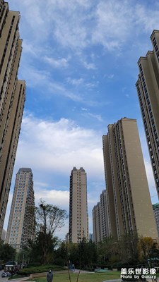 楼顶看看景