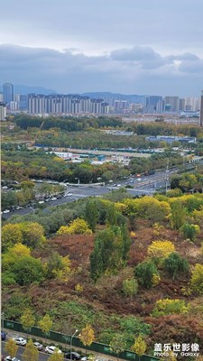 小区