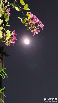 火星与月亮会合