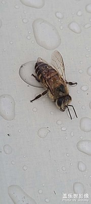 又是下雨天哦。。