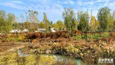 【初冬的景象】村头小河
