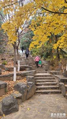 周末爬个小山
