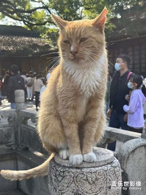 西园寺
