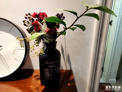 食物模式拍摄静物