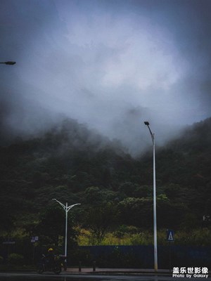 空山新雨后