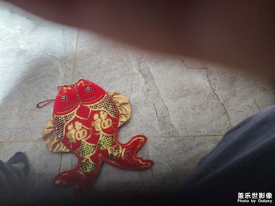 儿子的杰作