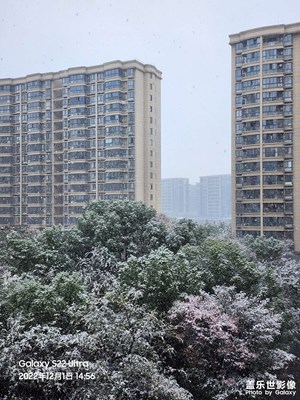 下雪的杭州随手拍