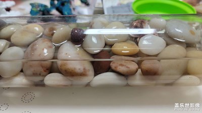 海边捡的小石头