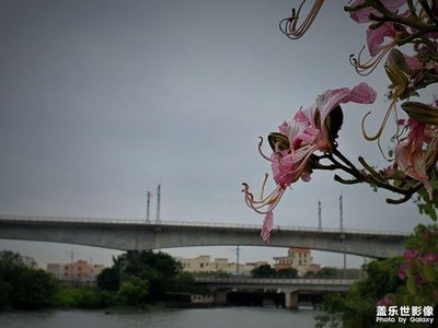 人到中年